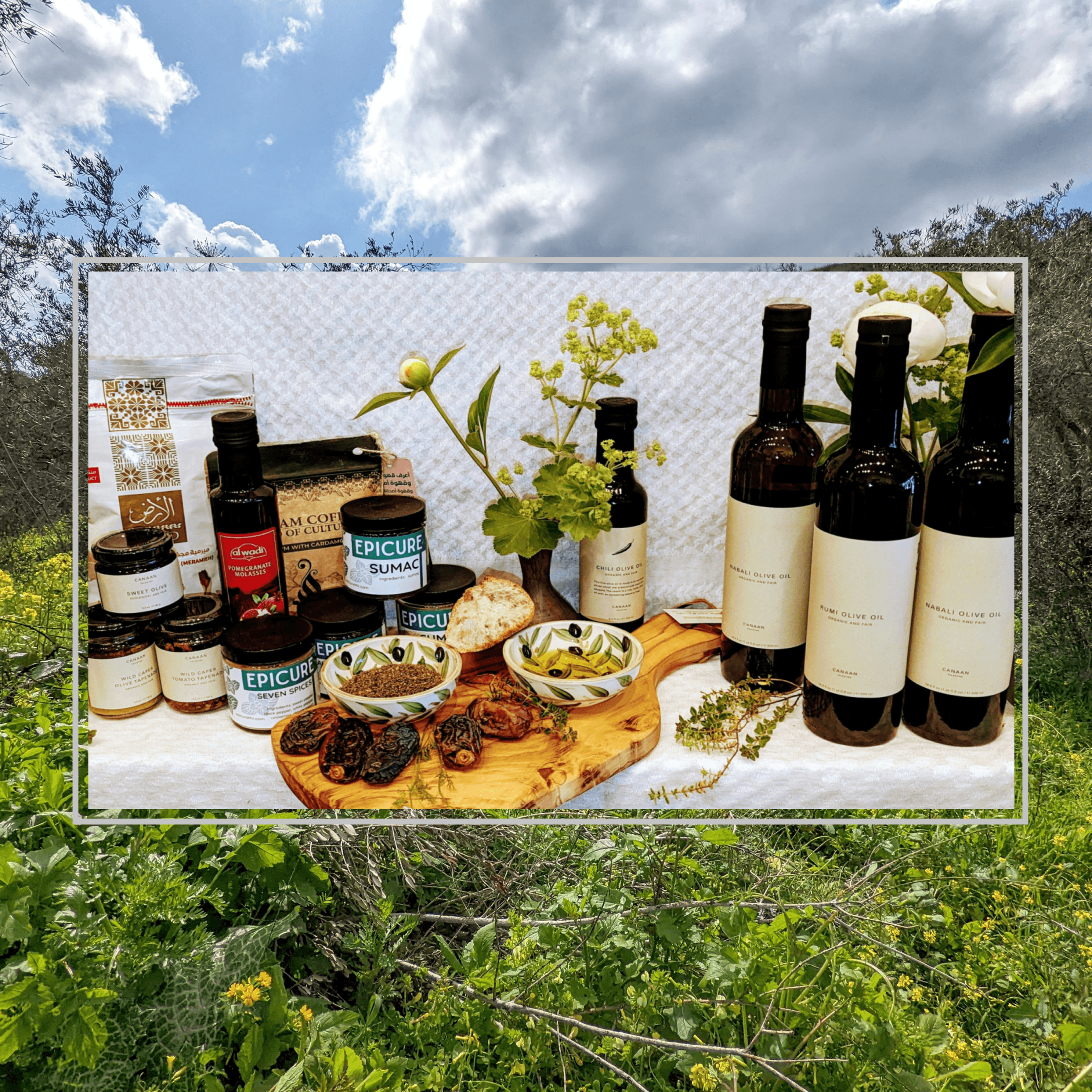 Olive Oils & Tapenades